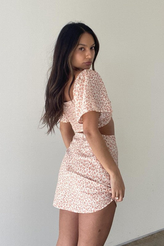 Peach Top