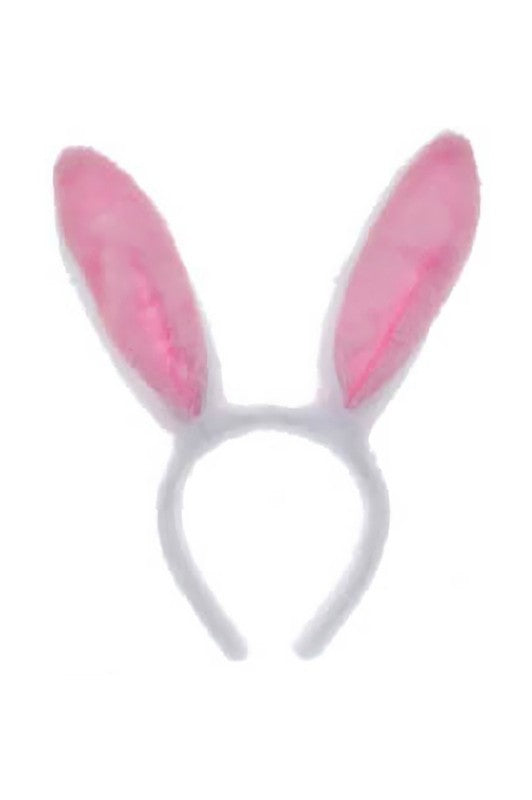 A Bunny Duh